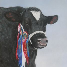 British Blue bull