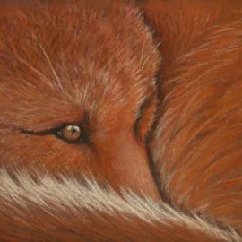 Foxtail