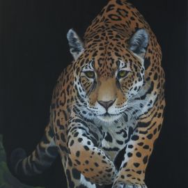 The Jaguar
